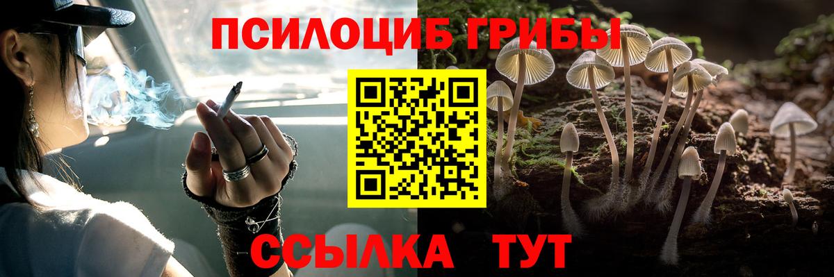 Галлюциногенные грибы Cubensis  Вход с VPN  Галлюциногенные грибы Psilocybine cubensis  Волоколамск 
